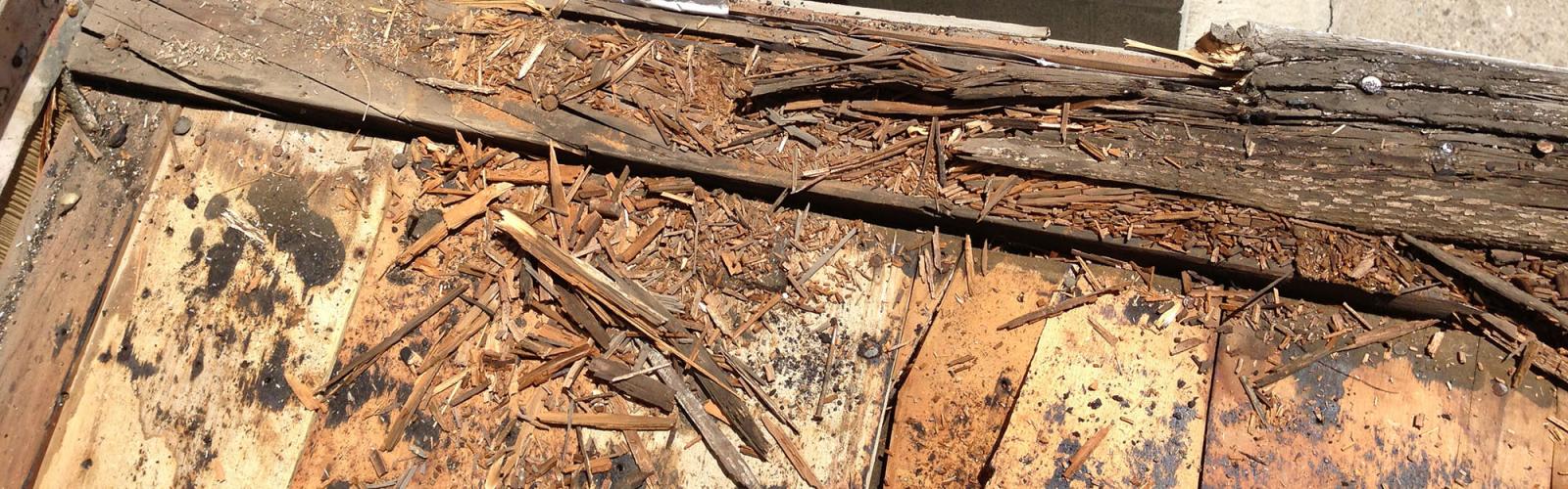 water damaged roof