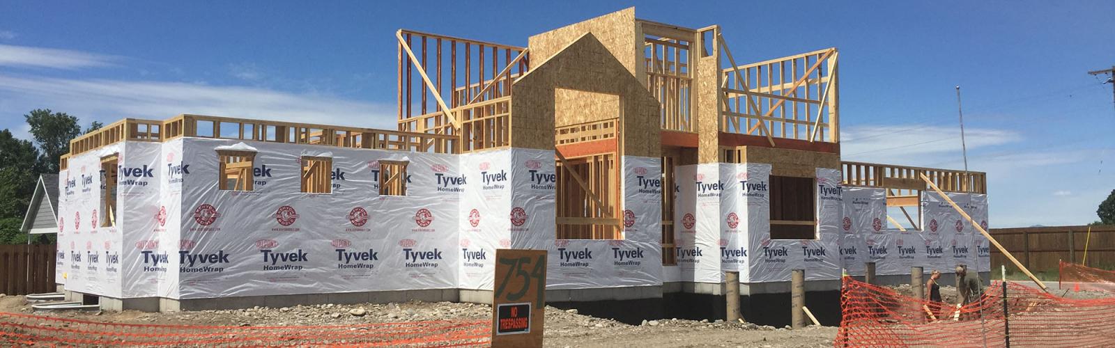 Wall sheathing and house wrap tyvek